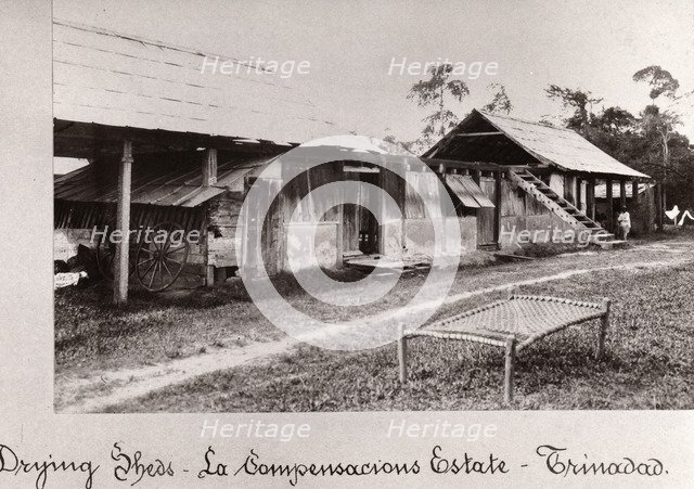Drying sheds for cocoa, La Compensacions Estate, Trinidad, 1897. Artist: Unknown