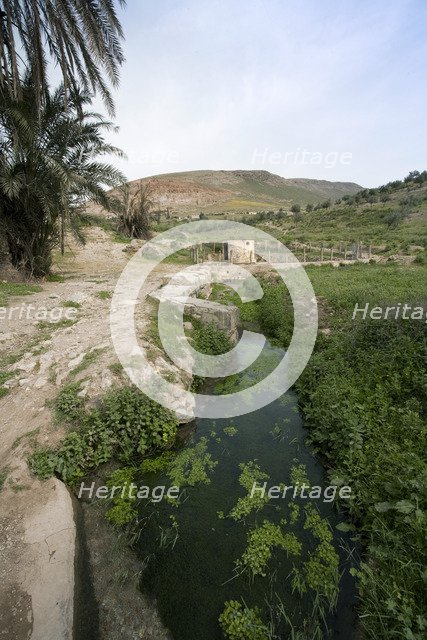 Nymphaea at Bulla Regia, Tunisia. Artist: Samuel Magal