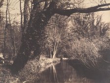 Parc de Courances, 1860-70. Creator: Eugène Cuvelier.