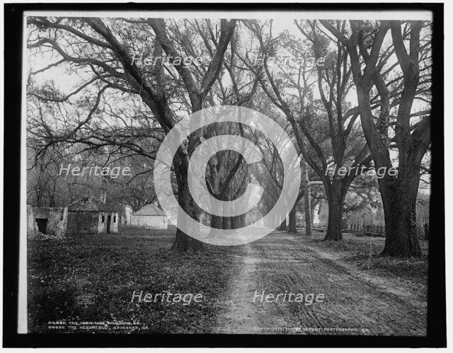 The Hermitage, Savannah, Ga., c1900. Creator: Unknown.