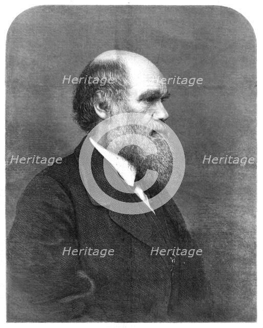 Mr. C. R. Darwin, author of "The Origin of Species'', 1871. Creator: Unknown.