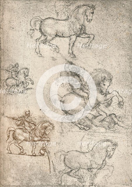 Study for the Sforza Monument, c1482-c1499 (1883). Artist: Leonardo da Vinci.