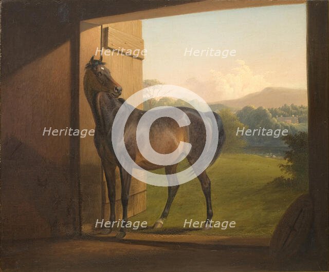 Reveller Mare, 1834-1872. Creator: Fritz Thomsen.