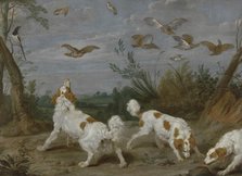 Partridge Hunt, c1610-1650. Creator: Jan Wildens.