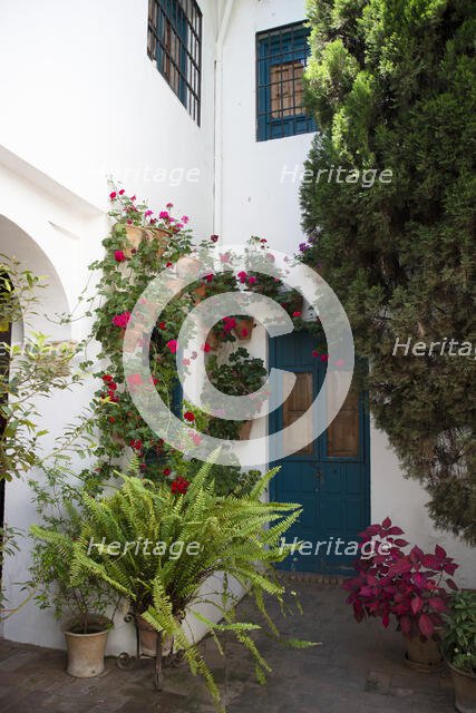 One of the 12 Gardens at the Renaissance Palacio de Viana, Cordoba, Spain, 2023. Creator: Ethel Davies.