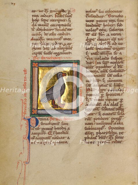 An Ostrich; Bestiary, about 1270. Creator: Unknown.