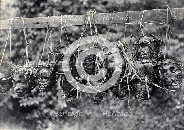 Sarawak: preserved and decorated human heads taken and strung up by Sea Dayaks, c1900. Creator: Unknown.