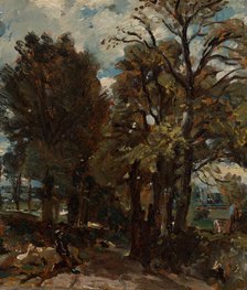 Fen Lane, East Bergholt, ca. 1811. Creator: John Constable.