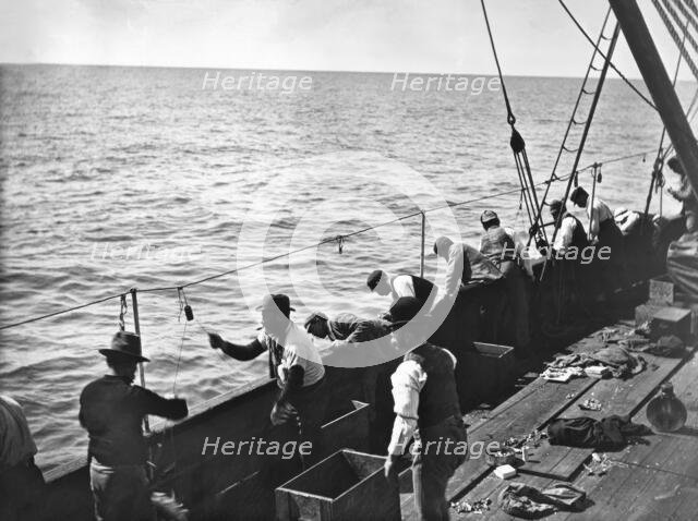 Snapper fishing, Moreton Bay, Queensland, c1900s. Creator: Robert Augustus Henry L'Estrange.