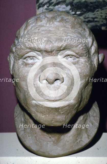 Peking Man, Reconstruction of Head from fossil evidence, c20th century.  Artist: Unknown.