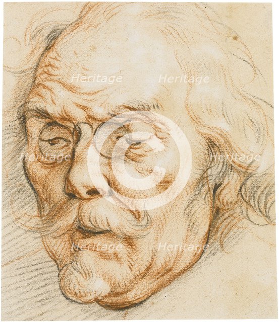 Head of an Elderly Man wearing glasses.
