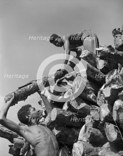 Bethune-Cookman College, Daytona Beach, Florida, 1943. Creator: Gordon Parks.