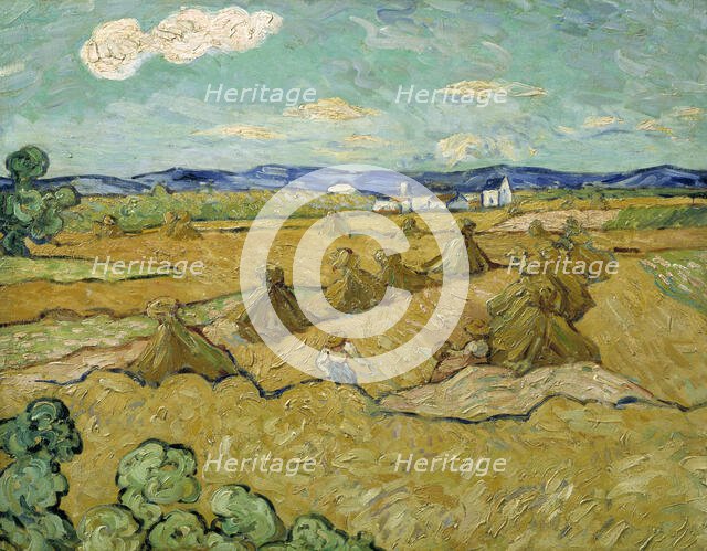 The Cornshocks. Creator: Anon.