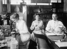 Bacteriology - Dr. George Stiles, 1912. Creator: Harris & Ewing.