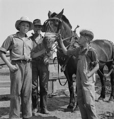 Hired man helps the farmers' oldest boy on the Myers farm, Washington, Yakima County, 1939 Creator: Dorothea Lange.