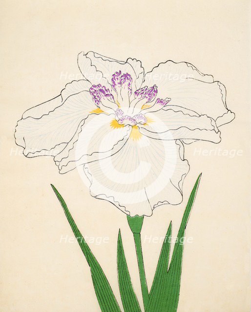 Cho-Hiyen, No. 91, 1890, (colour woodblock print)