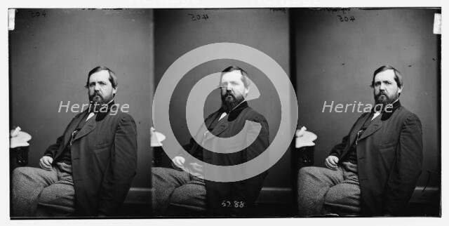 Webster, Hon. Edwin Hanson of Md. Colonel of 7th Md. Inf. Regt. 1862-3, ca. 1860-1865. Creator: Unknown.