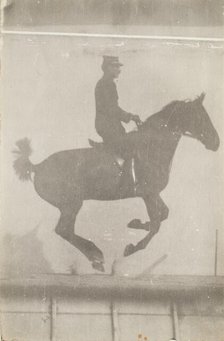 Horse And Rider (Cavalier Et Cheval) #2, c1888. Creator: Etienne Jules Marey.