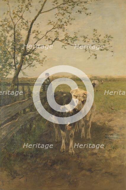 Dairy cows, 1870-1888.  Creator: Anton Mauve.