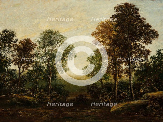 Landscape with Trees (image 1 of 2), between c1883 and c1898. Creator: Ralph Blakelock.