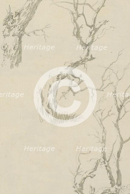 Trees and tree trunk, c.1780-c.1800. Creator: Bernhard Heinrich Thier.