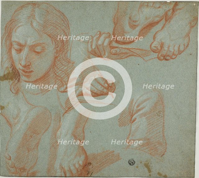 Sketches of Head, Hands, Shoulder, and Feet, n.d. Creator: Unknown.