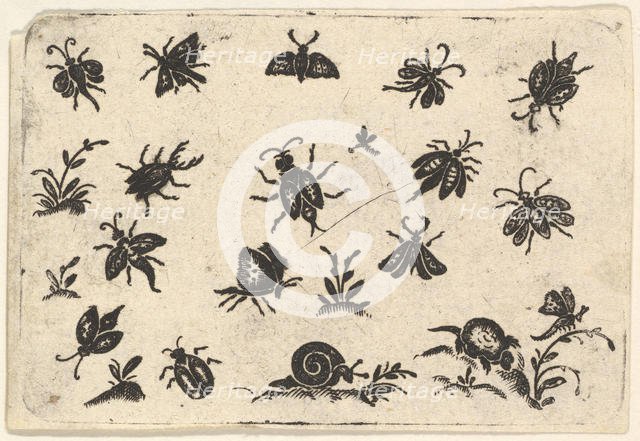 Small Motifs of Insects and Plants, 1596. Creator: Georg Herman.