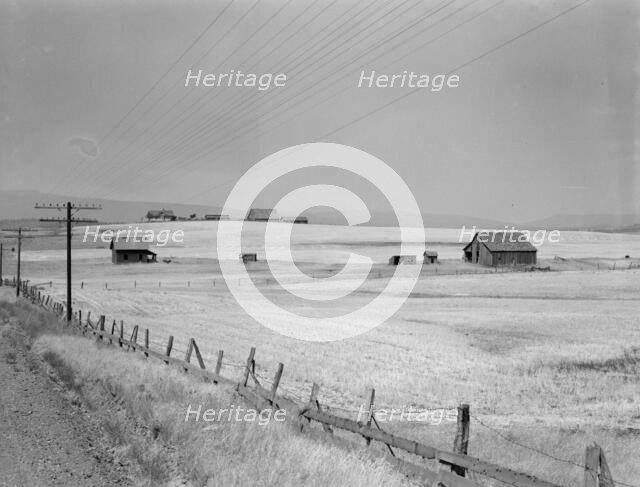 Washington, Klickitat County, near Goldendale, 1939. Creator: Dorothea Lange.