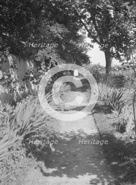 Cosgrave grounds, not before 1917. Creator: Arnold Genthe.