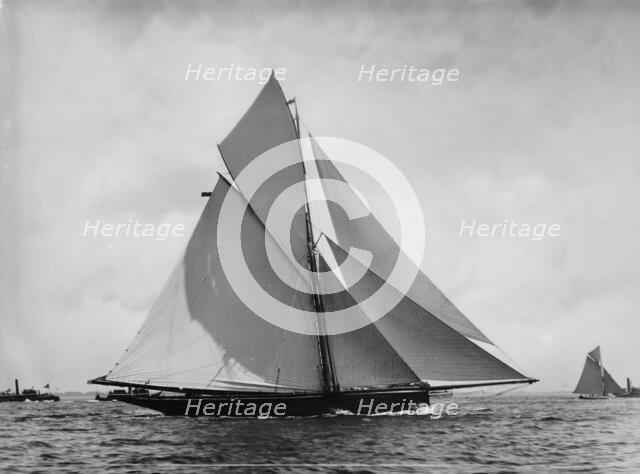 Genesta, c1885. Creator: John S Johnston.