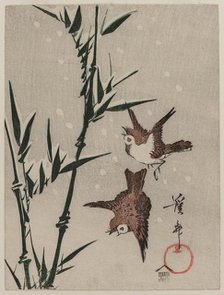 Sparrows, Bamboo and Falling Snow, c. late 1820s. Creator: Keisai Eisen (Japanese, 1790-1848).