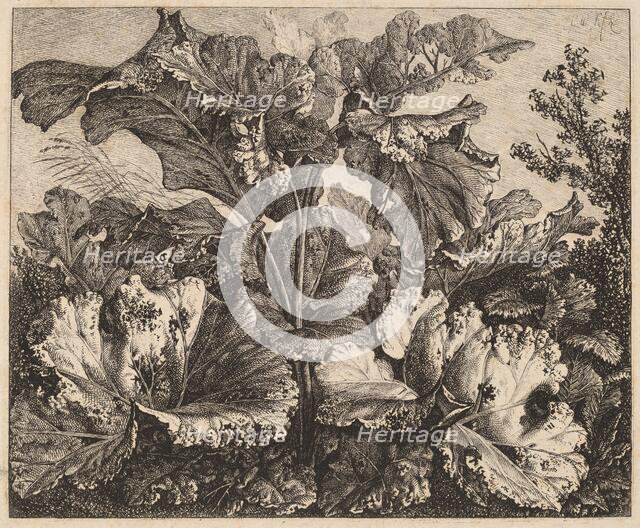 Small Plant Study: a Burdock, Delicate Tufts of Grass at Left, 1826/1828. Creator: Carl Wilhelm Kolbe the elder.