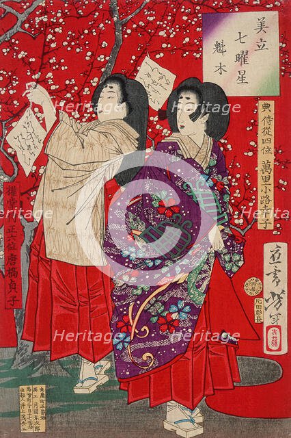 Wood for the Plum Tree, 1878. Creator: Tsukioka Yoshitoshi.