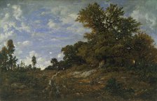 The Edge of the Woods at Monts-Girard, Fontainebleau Forest, 1852-54. Creator: Theodore Rousseau.