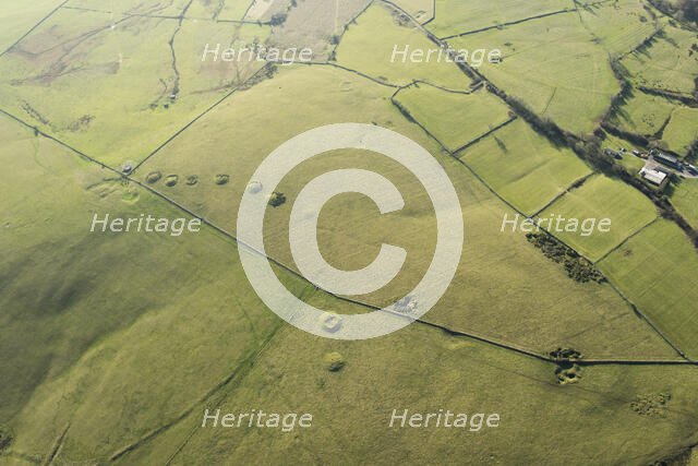 Priddy Nine Barrows Cemetery, Somerset, 2016. Creator: Damian Grady.