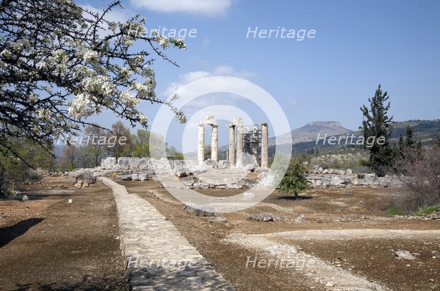 The Temple of Zeus at Nemea, Greece. Artist: Samuel Magal