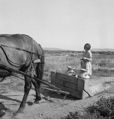 All Chris Adolf's children are hard workers..., Yakima Valley, Washington, 1939. Creator: Dorothea Lange.