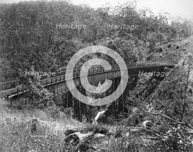 Toowoomba Range near Highfields, c1894. Creator: Poul C Poulsen.
