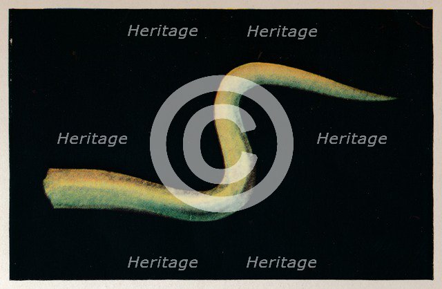 'A Thought-Form of Watchful Jealousy', c1916, (1917). Artist: Unknown.