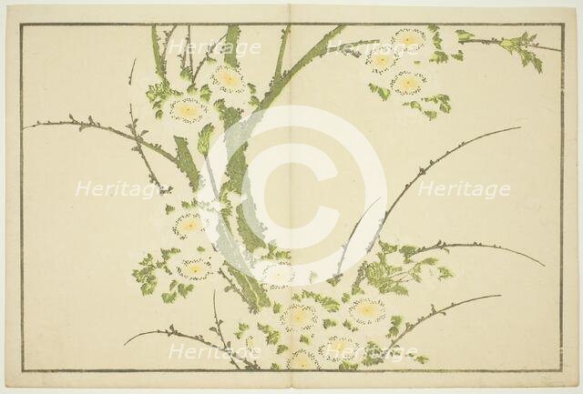 Flowers, from The Picture Book of Realistic Paintings of Hokusai (Hokusai shashin..., Japan, c.1814. Creator: Hokusai.