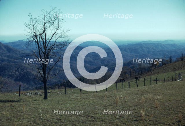 Mountain farm along Skyline Drive, Va., ca. 1940. Creator: Jack Delano.