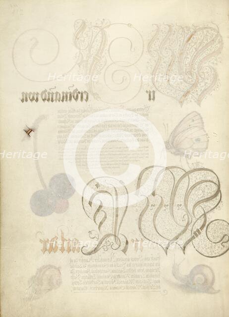 Trompe l'Oeil Stem of a Sweet Cherry, 1561-1562; illumination added 1591-1596. Creator: Joris Hoefnagel.