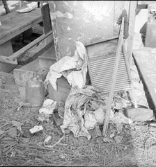 Dirty clothes and flies, American River camp, near Sacramento, California, 1936. Creator: Dorothea Lange.