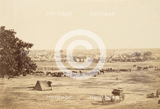 Governor General's and Commander in Chief's Camp, Jullundur, 1858-61. Creator: Unknown.