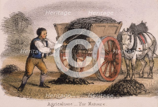 'Agriculture, for Manure', c1845. Artist: Benjamin Waterhouse Hawkins