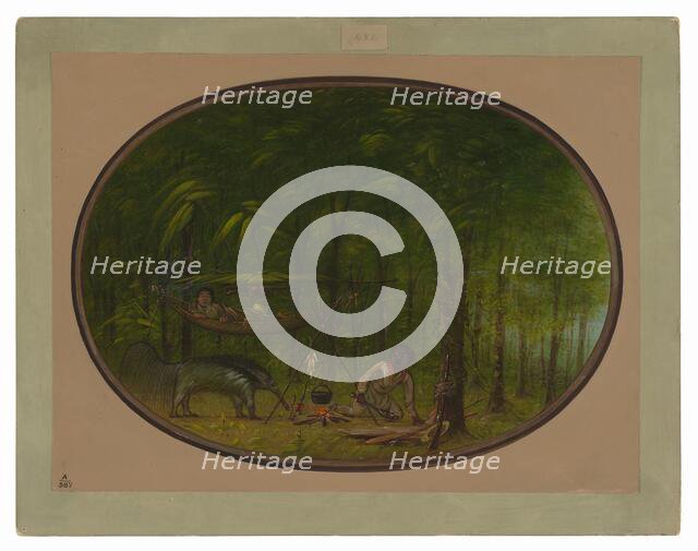 The Great Ant-Eater, 1854/1869. Creator: George Catlin.