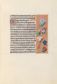 Hours of Queen Isabella the Catholic, Queen of Spain: Fol. 54r, c. 1500. Creator: Master of the First Prayerbook of Maximillian (Flemish, c. 1444-1519); Associates, and.