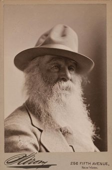 Walt Whitman, 1879. Creator: Napoleon Sarony.