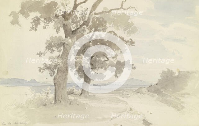 Tree-lined path through a plain near Blankenburg in the Harz Mountains, c1844. Creator: Carl Theodor Reiffenstein.