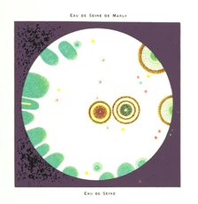 Water from the River Seine at Marly, 1899.  Creator: Unknown.